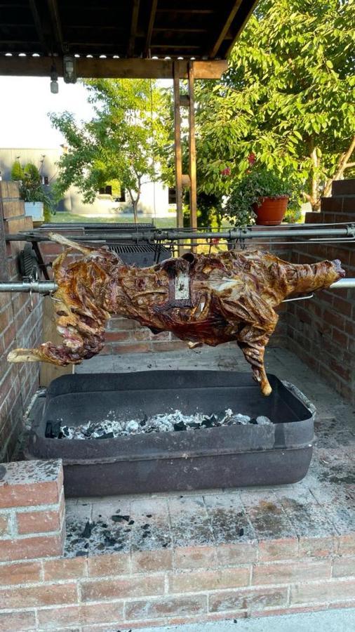 Pensiunea Viitorul Baia de Fier Zewnętrze zdjęcie
