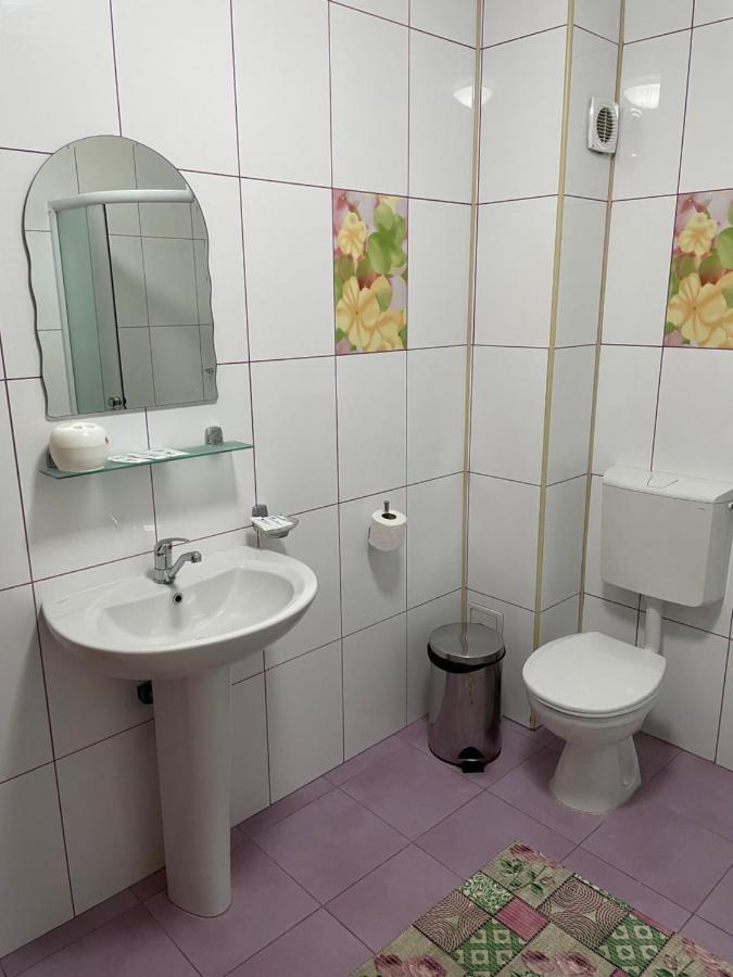 Pensiunea Viitorul Baia de Fier Zewnętrze zdjęcie