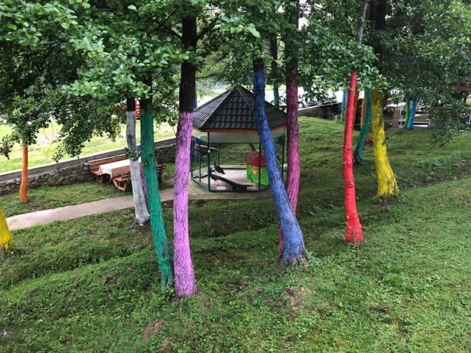 Pensiunea Viitorul Baia de Fier Zewnętrze zdjęcie