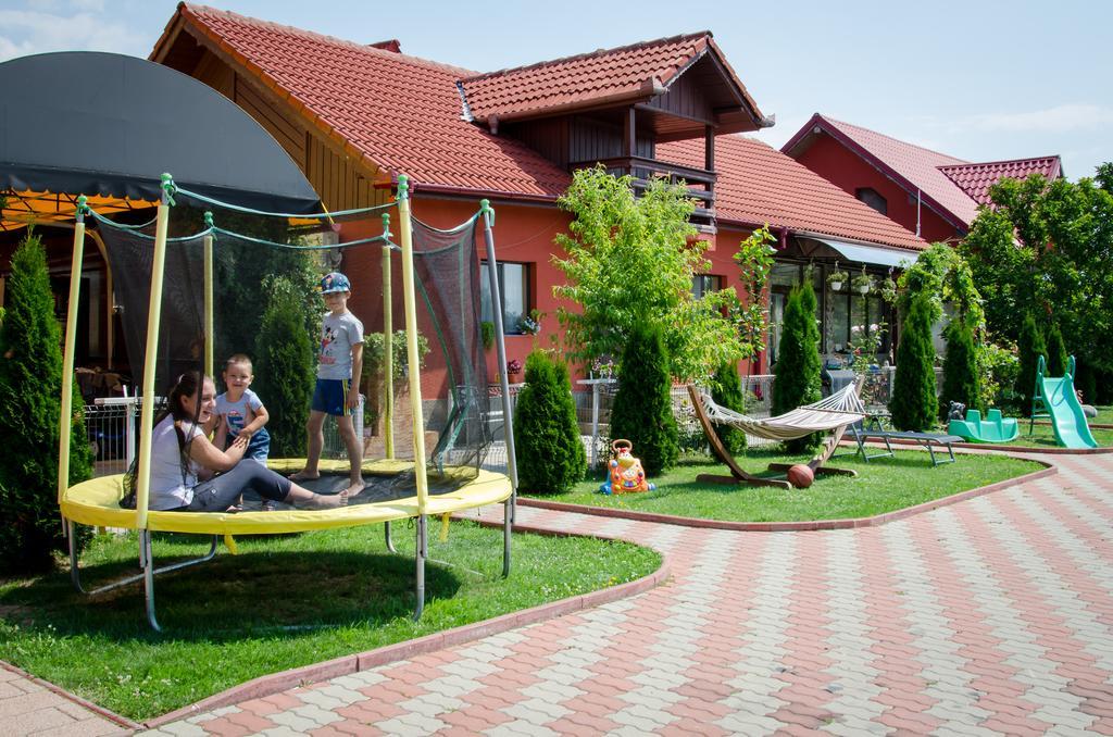 Pensiunea Viitorul Baia de Fier Zewnętrze zdjęcie